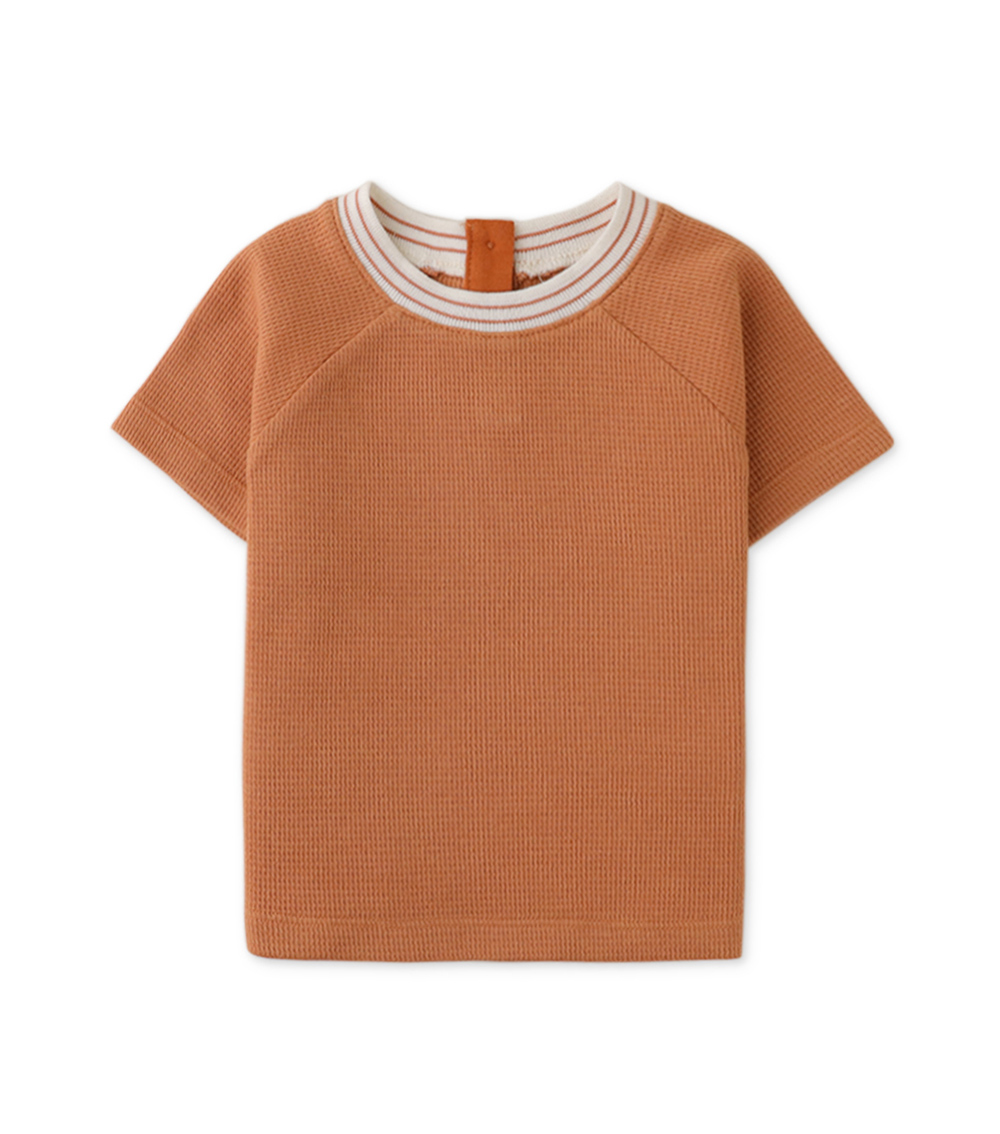 GINGERSNAPS Raglan Short Sleeve Knitted T-Shirt