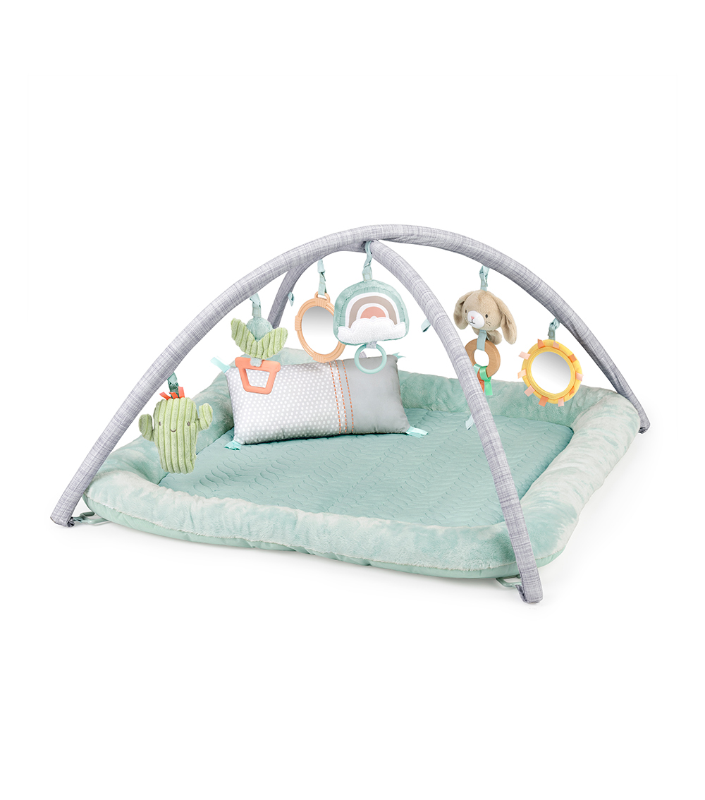 INGENUITY Calm Springs Plush Activity Gym - Chic Boutique