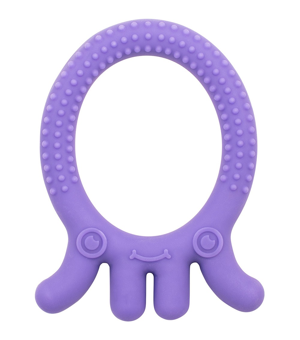 DR. BROWN'S Flexees Friends Octopus Teether - Purple