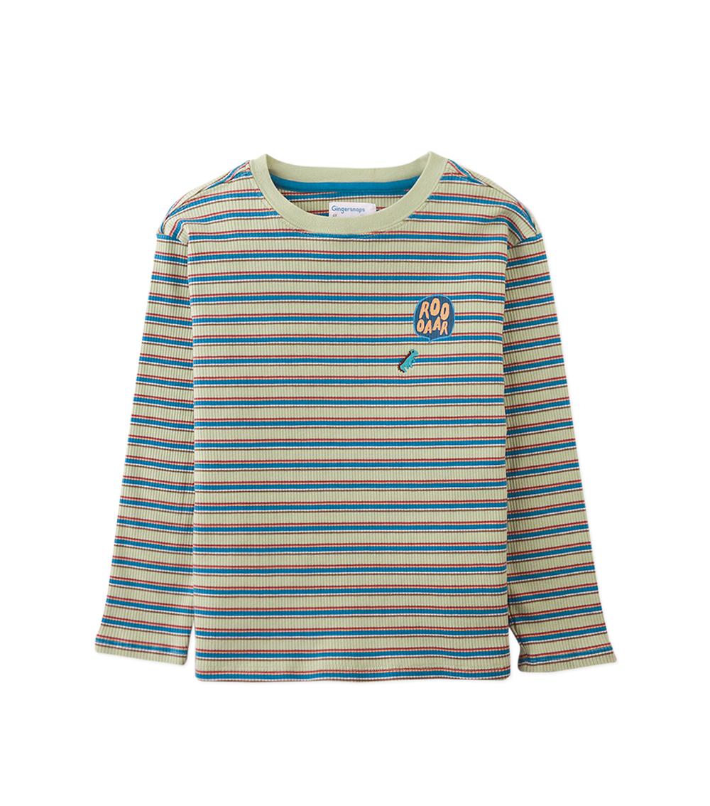 GINGERSNAPS Boy's Cotton Knit T-Shirt, Green