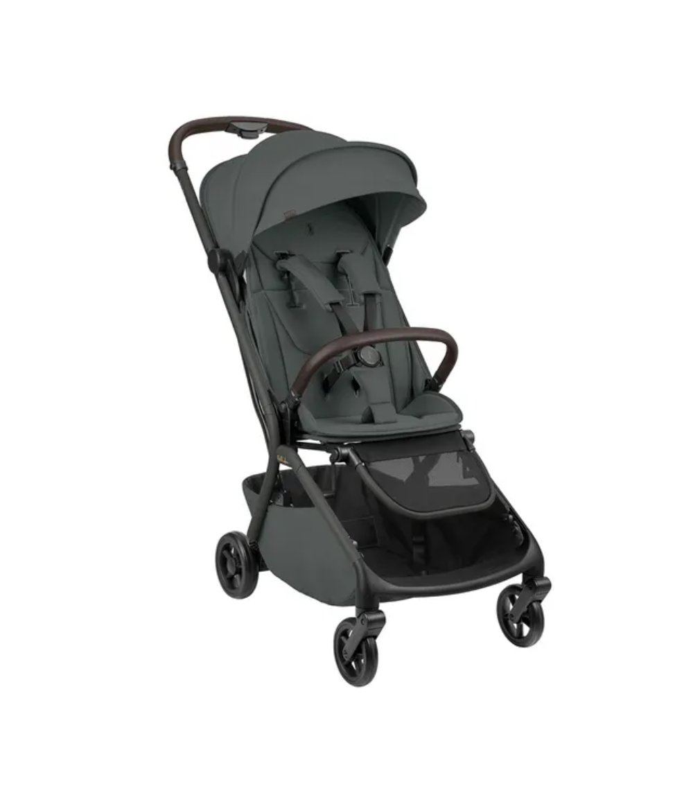 KIKKABOO Goya Platinum Cabin Pushchair - Green