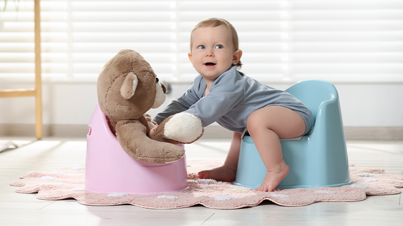 When to Start Potty Training Your Toddler + Training Tips from Experts